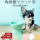 陶器 犬 猫 食器 おしゃれ 陶器 高さ 皿 ごはん皿 エサ皿 ペットボウル フードボウル 脚付食器 水飲み食べやすい 人気 Petifam 脚付フードボウル ラウンド 高め ホワイト オレンジ ピンク グリーン