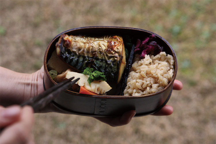 弁当箱 【送料無料（北海道・沖縄除く）】【わけあり】 訳あり お弁当箱”HAKOYA 《...