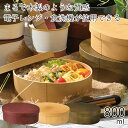弁当箱”HAKOYA 曲げわっぱ一段弁当 大 800ml”Garden ガーデン日本製1段 お弁当箱 おしゃれ LUNCH BOX