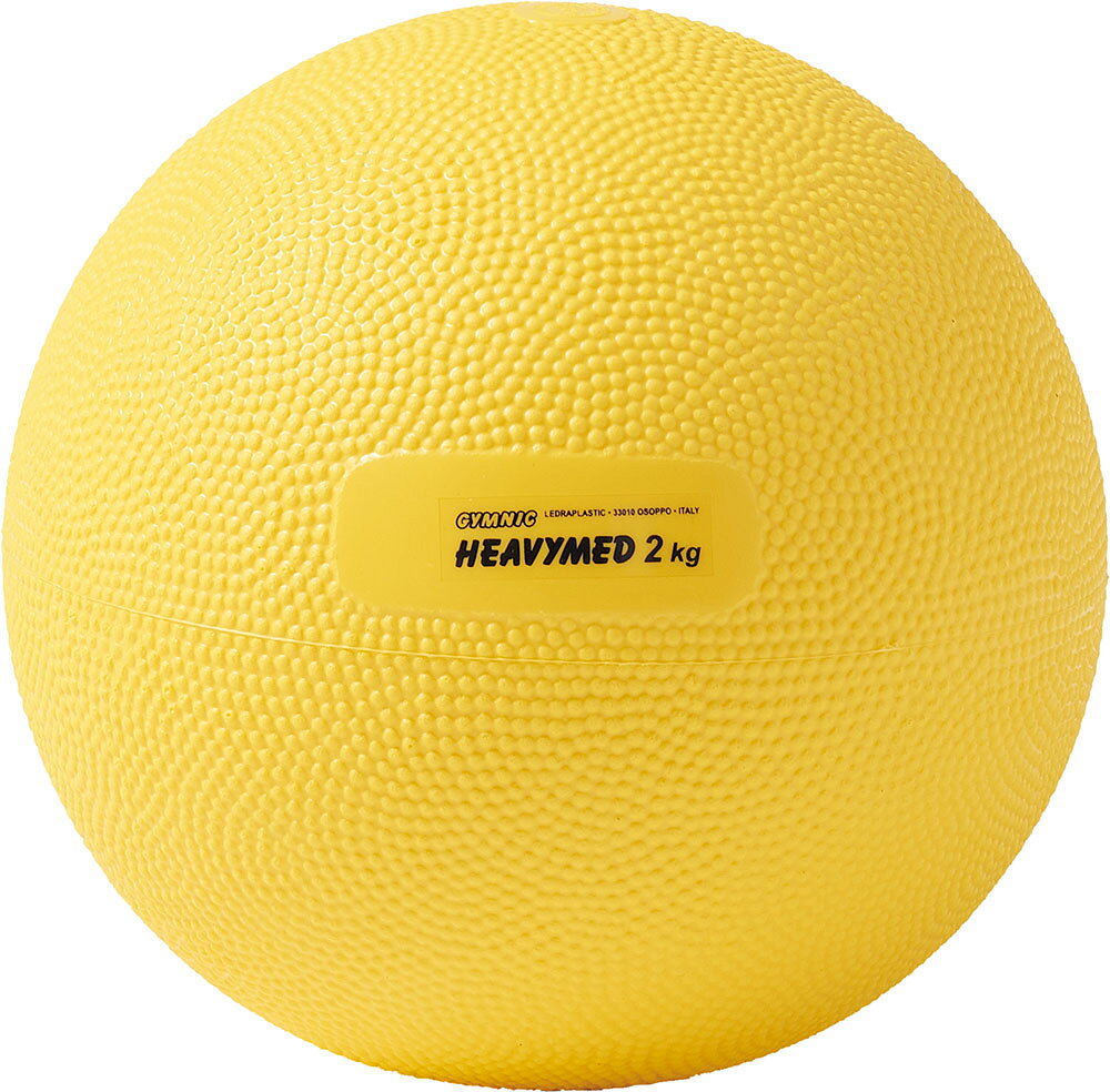 DANNO （ダンノ） ウェルネス 器具・備品 ヘビーメディシン2kg D5473 【イエロー】...