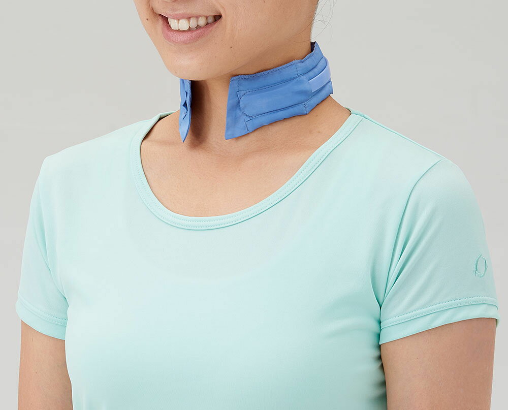 DANNO （ダンノ） 学校体育器具 器具・備品 涼感ワーククーラー(ブルー) 【ブルー...