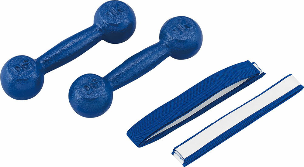 DANNO （ダンノ） ボディーケア 器具・備品 鉄アレー 3kg 【ブルー】 D-805 器具 おもり メンズ・レデ..