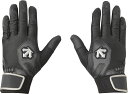 DESCENTE (デサント) 野球&ソフトボール バッティンググラブ 羊革バッティンググラブ(両手用) 【ブラック×シルバー】 DB5SGV00M BKSL ...