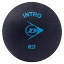【お得なセット販売あり】 DUNLOP (ダンロップ) レクレーション ボール INTRO イントロ 【ブラック】 DA50032 スカッシュ 競技ボール メンズ・レディース 男性用・女性用 クロ 黒 20SS {SK}