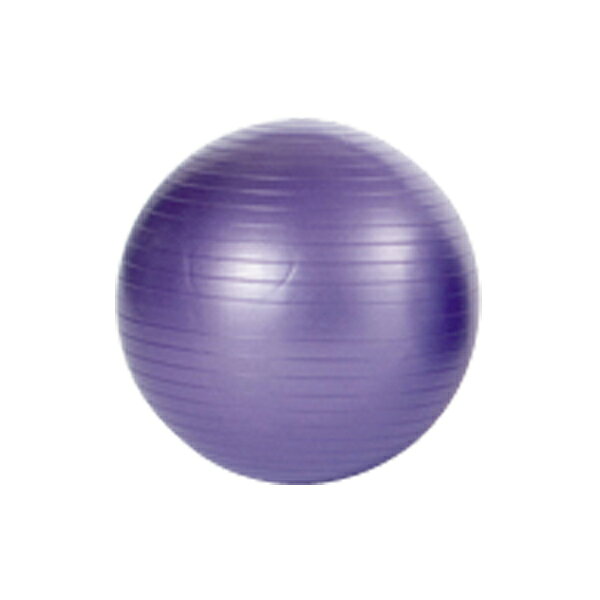 EVERNEW（エバニュー） 体育用品 フィットネス・トレーニング ボール エクササイズボール ノンバースト..