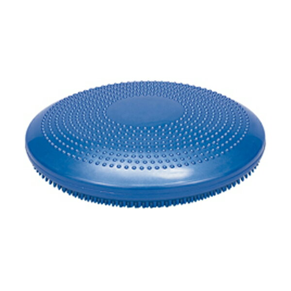 EVERNEW（エバニュー） 体育用品 フィットネス・トレーニング マット ストレッチ用品 バランスクッショ..