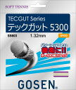 GOSEN(ゴーセン) ソフトテニス ガット・ラバー テックガット 5300 軟式テニス用ガット 【ナチュラル】 メンズ・レディース 男性用・女性用 SS603...