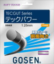 GOSEN(ゴーセン) ソフトテニス ガット・ラバー テックパワー 軟式テニス用ガット 【ナチュラル】 メンズ・レディース 男性用・女性用 SS605NA {N...