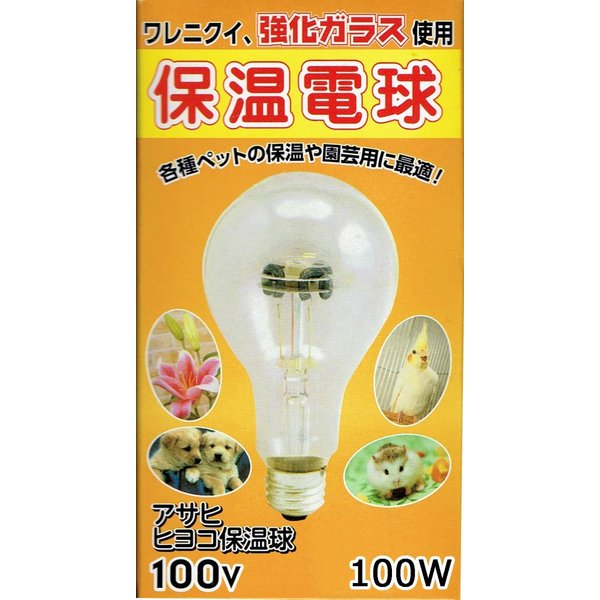 弘電舎家禽部 ヒヨコ電球 100W 小鳥 小鳥用小物類 用品｛SK