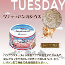 株式会社ファンタジーワールド シグネチャー7 グレービー ツナWITHパンガシウス(火) 70g 猫用 キャットフード ウェット 総合栄養食 全種 全ステージ ...
