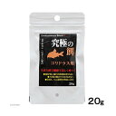 (株)B-blast 究極の餌 コリドラス用 20g 熱帯魚・アクアリウム 熱帯魚用フード フード{NP}S