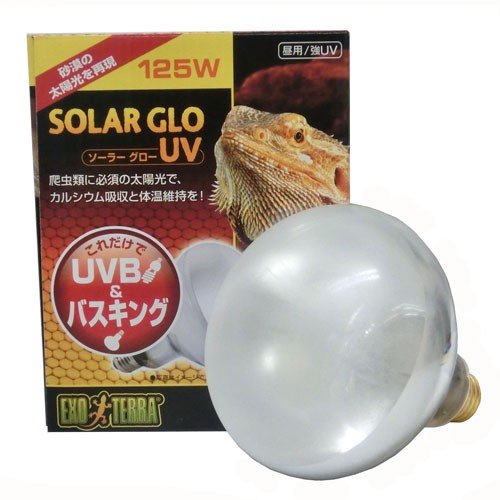ジェックス（株） ソーラーグローUV125WPT2192 爬虫類・両生類 爬虫類・両生類用保温器具 用品｛SK}