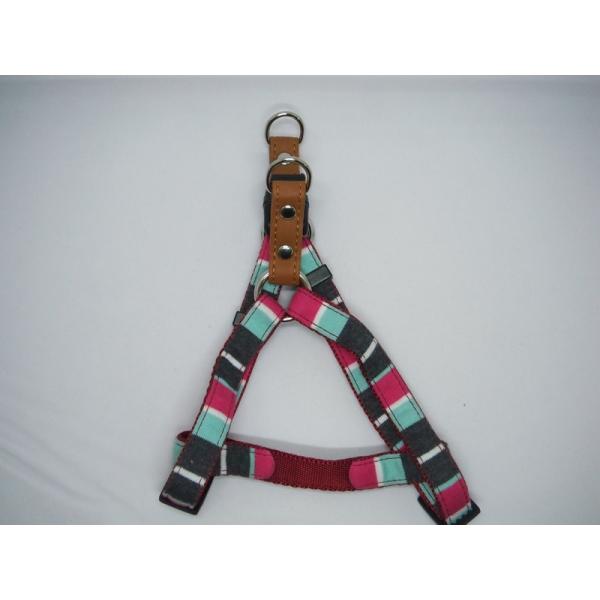 （株）リードッグ PBKH-SS-MI パステルボーダーカンタンハーネス SS ミント 犬 用品 胴輪 4580298527336 {NP}