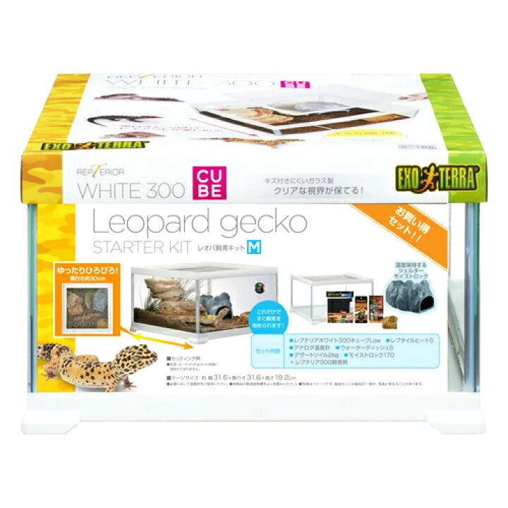 ジェックス（株） レオパ飼育キット M 爬虫類 両生類 用品 爬虫類 両生類用ケージ 4972547038265 {SK}