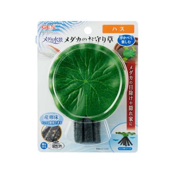 ジェックス（株） メダカ水景 メダカのお守り草 ハス 観賞魚 用品 観賞魚用産卵 飼育ケース 給餌器 497..