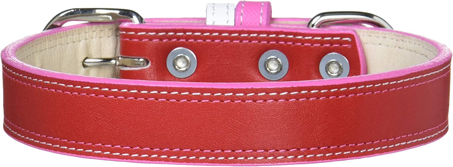 カワノ産業（株） M1855RマイスターWレザーカラー＃24 犬 用品 首輪 4960638018555 {NP}