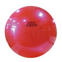 NISHI(ニシ) エクササイズ トレーニング ノンバーストVボール S メタリックピンク 【レッド】 NT5872C 960 メンズ・レディース ・キッズ 男...