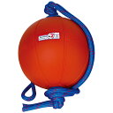 NISHI(ニシ) エクササイズ トレーニング スウィングメディシンボール 2kg 【レッド】 T5912 960 メンズ・レディース 男性用・女性用 赤 {SK}