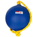 NISHI(ニシ) エクササイズ トレーニング スウィングメディシンボール 3kg 【ブルー】 T5913 960 メンズ・レディース 男性用・女性用 青 {SK}