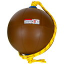 NISHI(ニシ) エクササイズ トレーニング スウィングメディシンボール 5kg 【ブラウン】 T5915 960 メンズ・レディース 男性用・女性用 茶 {...
