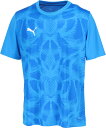 PUMA (プーマ) サッカー ゲームシャツ・パンツ TEAMULTIMATE グラフィック ゲームシャツ 【ブルー】 706791 02 ゲームシャツメンズ ...