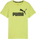 PUMA (v[}) tBbglXEg[jO TVc ESS (GbZVY) S TVc WjAELbY qp  }\ WMO jO W yCV[(71)z  588982 {NP}