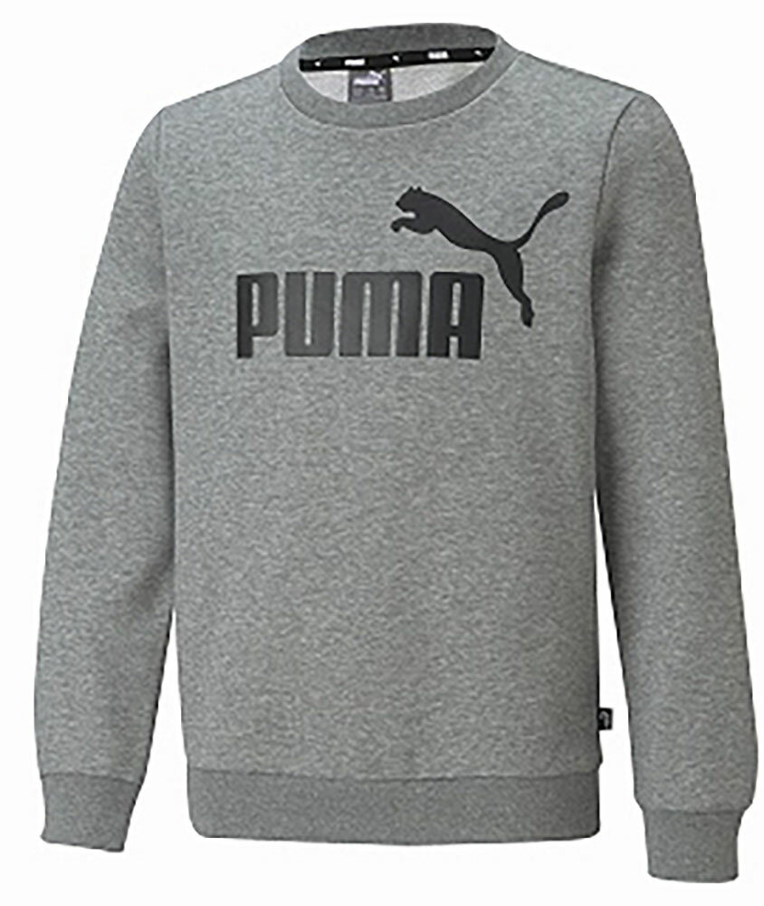 PUMA (ס) եåȥͥȥ졼˥ åȡȥ졼ʡ ESS (å󥷥륺) ӥå 롼å ˥å Ҷ 祮 ˥  ڥߥǥ॰졼إ(03)  846544 {SK}