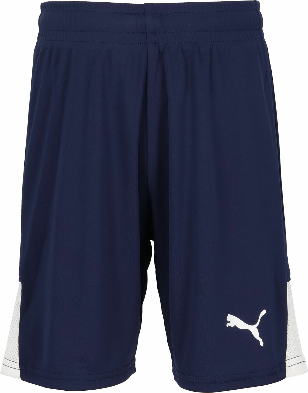 PUMA （プーマ） サッカー ゲームシャツ・パンツ TEAMLIGA ショーツ JR 【ネイビー】 707343 06 ゲームパンツJR パンツ ジュニア・キッズ 子供用 プーマジャパン ネイビー 紺 2026 {NP}
