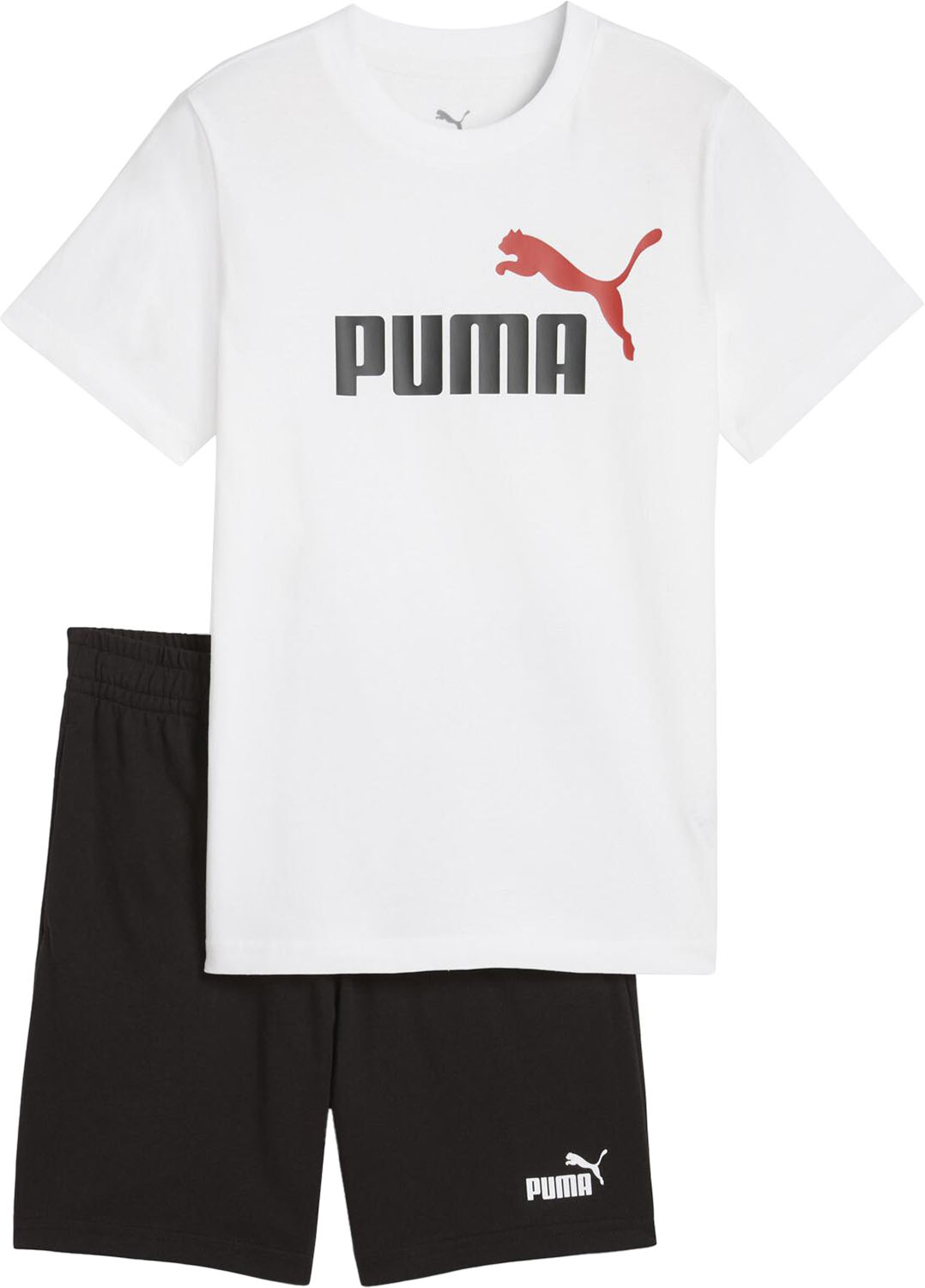 PUMA （プーマ） マルチスポーツ トレーニングウェア ESS 2 COLOR NO. 1 LOGO Tシャツ AND ショーツ セ..