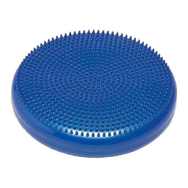 TOEI LIGHT（トーエイライト） 体育用品 フィットネス・トレーニング マット ストレッチ用品 バランス..