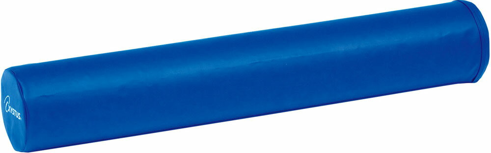 TOEI LIGHT （トーエイライト） 学校体育器具 器具・備品 ストレッチローラー900C 【ブルー】 H-7154 器具 ストレッチローラー メンズ・レディース 男性用・女性用 ブルー 青 9999 4 {SK}