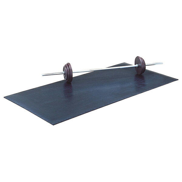 TOEI LIGHT �ʥȡ������饤�ȡ� �ع��ΰ��� ������� �ȥ졼�˥󥰥ޥå�10 �ڥ֥�å��� H-7432 �ޥå� �ȥ졼�˥󥰥ޥå� ��󥺡����...