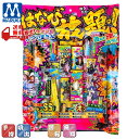 【在庫限りの大特価※←】2023 花火 はなび放題っ! バラエティセット マルカ FIRE WORKS