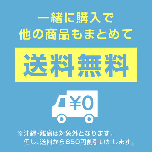 メッシュ付き　ポップアップテント　ワンタッチピクニックテント　アサヒ興洋 2