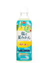 【超目玉セール 10%OFFクーポンで2919⇒2628円】えひめ飲料 POM(ポン) 塩と夏みかん 490ml PET×24本