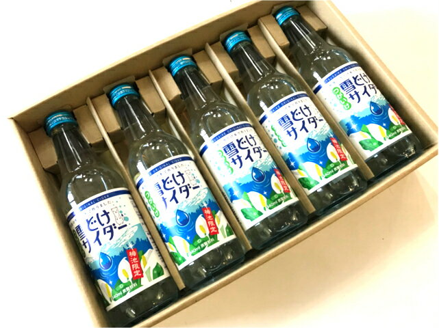 【ご当地】つがいけ雪どけサイダー 5本セット