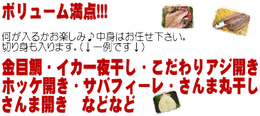 増量中★【国内加工アウトレット干物セット】1.2kg以上！送料無料(本州のみ)訳あり ワケアリ 分けあり わけあり※◆2個以上購入でプレゼント付き!!!