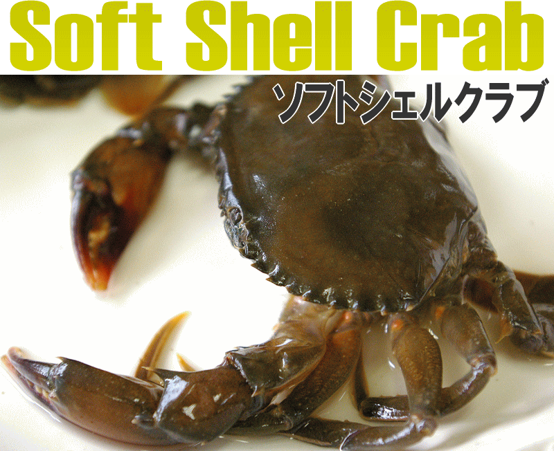【ソフトシェルクラブ：1kg　Mサイズ】高級食材！脱皮したての蟹！SoftShellCrab！［渡り蟹］のサムネイル