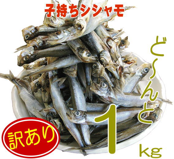 【訳あり子持ちシシャモ1kg】ちょっとキズの付いてしまったものや皮がむけてしまったものですが、味・鮮度は何ら正規品と変わりません!訳あり ワケアリ 分けあり わ...