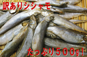 󂠂  qVV500g Ɩ󂠂ł 500g   󂠂 PA 킯