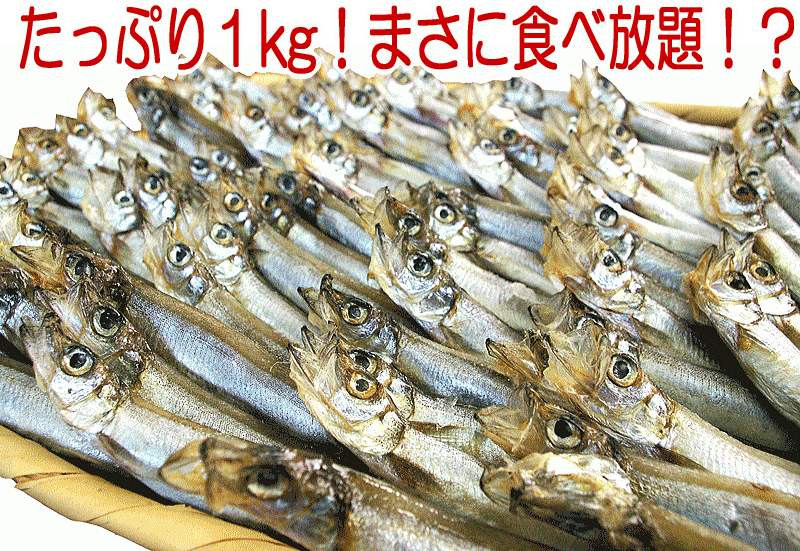 【訳あり子持ちシシャモ1kg】ちょっとキズの付いてしまったものや皮がむけてしまったものですが、味・鮮度は何ら正規品と変わりません！