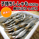 訳あり！【子持ちシシャモ500g】ちょっと訳ありでお買い得♪ししゃも500g！★ 訳あり ワケアリ 分けあり わけあり