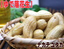 【茹で落花生:ナカテユタカ300g】ゆで落花生!産地ならではの味!千葉県八街産「ナカテユタカ」