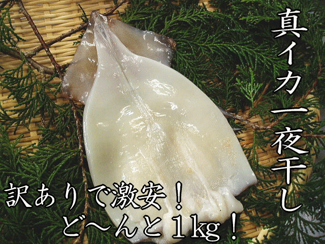 訳ありだから激安！ボリュームの1kg！在庫限りの販売となります！【訳あり：イカ一夜干し1kg】