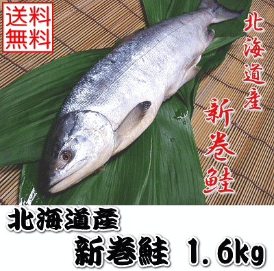 【お歳暮】【送料無料】【箱入り新巻鮭(約1.6kg）】【1本でお届け】贈り物にもおススメ♪“秋さけ”がうま..