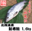 【お歳暮】【送料無料】【箱入り新巻鮭(約1.6kg）】【1本でお届け】贈り物にもおススメ♪“秋さけ”がうまい！さけ/サケ！送料無料（本州のみ）