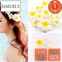 【送料無料】【楽天ランキング1位獲得】Yesallwas プルメリア 造花 5cm 50個セット 花のみ 白 スポンジ ハンドメイド お花 DIY手作業 結婚式 パーティー用 飾り付け 写真撮影小物