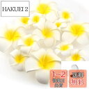 Yesallwas ヘア クリップ ピン プルメリア 造花 5cm 20個セット 花のみ 白 ヘア クリップ ピン プルメリア 髪飾り お花 DIY手作業 結婚式 パーティー用 飾り付け 写真撮影小物(4)