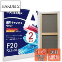 AUREUO 張りキャンバス セット F20 (72.7cmX60.6cm) 中目 綿化繊混紡 2枚 初心者 絵画用具 芸術絵創作 現代油絵 美術装飾 水彩画・...