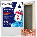 AUREUO 張りキャンバス セット P6 (41cmX27.3cm) 中目 綿化繊混紡 2枚 初心者 絵画用具 芸術絵創作 現代油絵 美術装飾 水彩画・油絵画・アクリル兼用